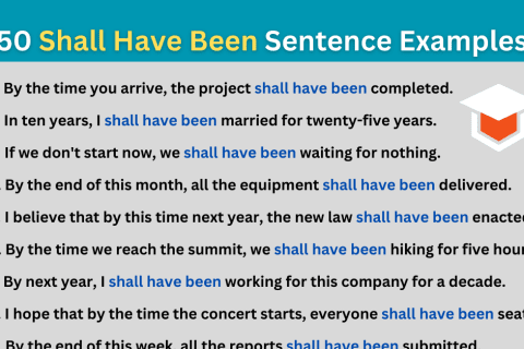 50 Sentences of Have to | Have to Sentence Examples - Study Barta 24